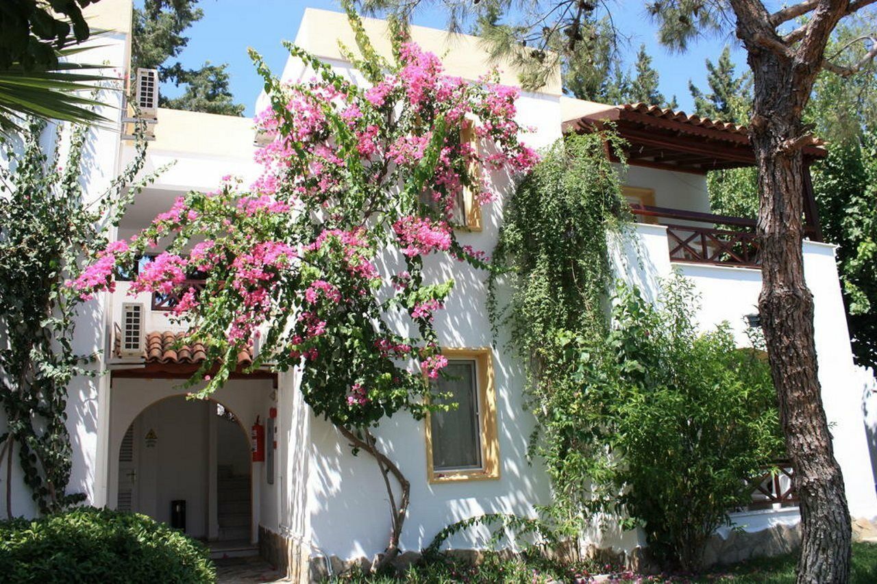Toloman Bitezpark Apartments Bodrum Kültér fotó